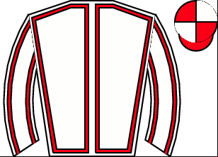 Horse silk