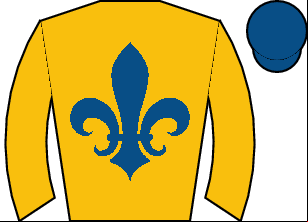 Horse silk