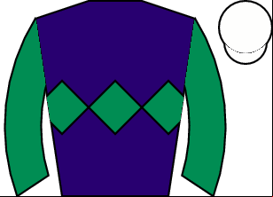 Horse silk