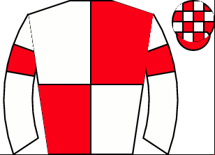 Horse silk