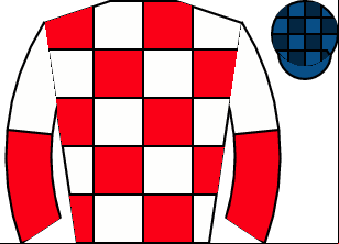 Horse silk