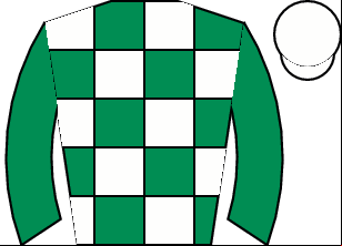 Horse silk