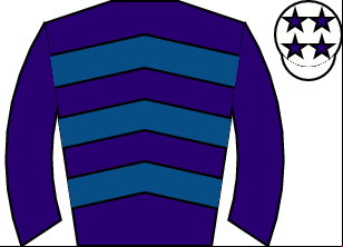 Horse silk
