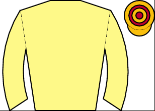 Horse silk
