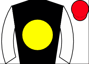 Horse silk