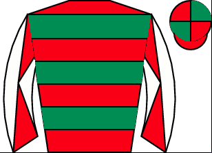 Horse silk