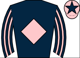 Horse silk