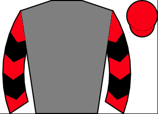 Horse silk