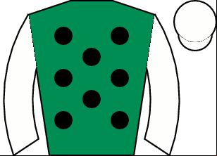 Horse silk