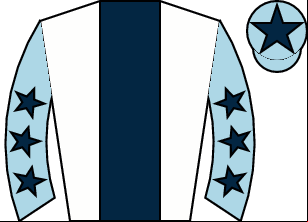 Horse silk