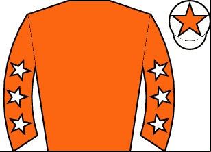 Horse silk