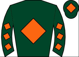 Horse silk