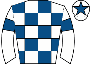 Horse silk